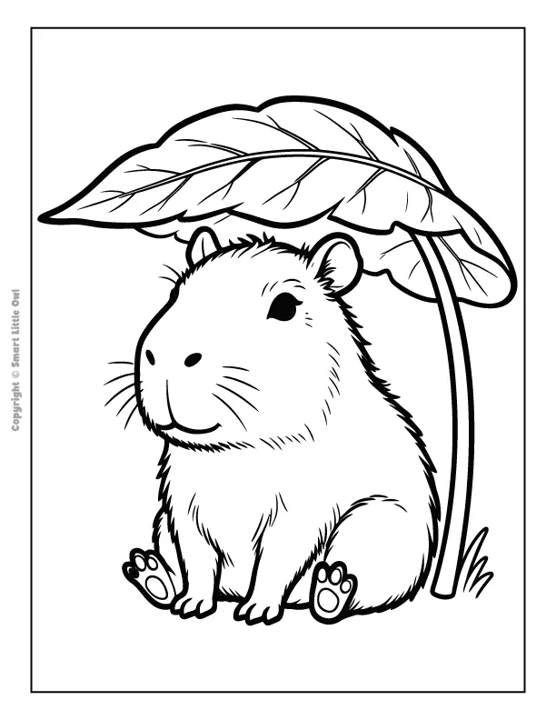 Capybara preview