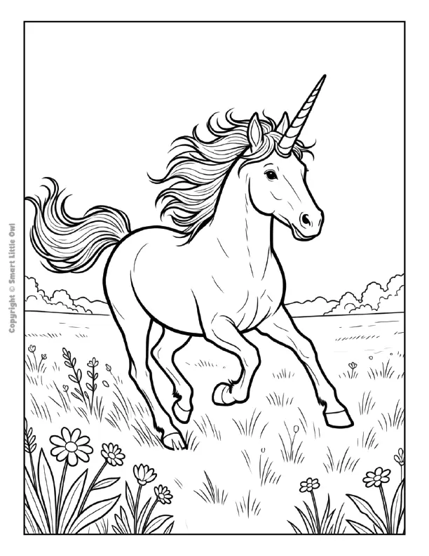 Unicorn preview