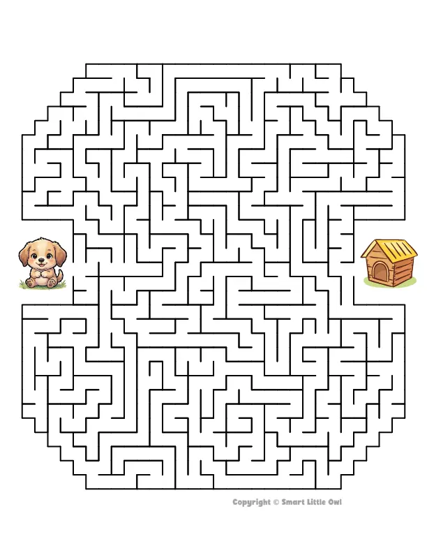 Maze 3 preview