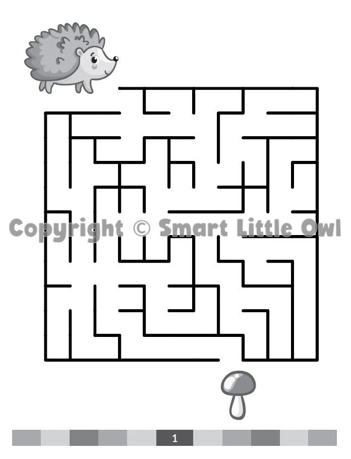 Activity Book For 5-6 Year Olds - Book Cover