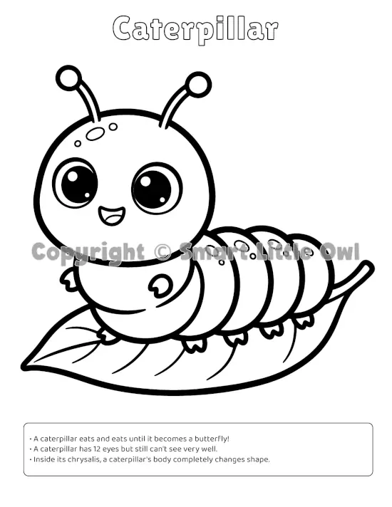 My First Bugs Colouring Book - Caterpillar page, simple shapes for toddlers