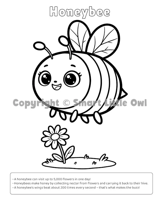 My First Bugs Colouring Book - Honeybee page showing single-sided printing