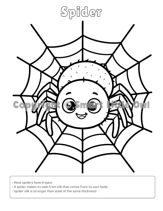 My First Bugs Colouring Book - friendly Spider page with thick lines