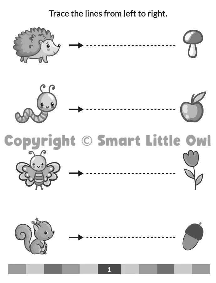 Prewriting Skills Workbook For Toddlers - Book Cover