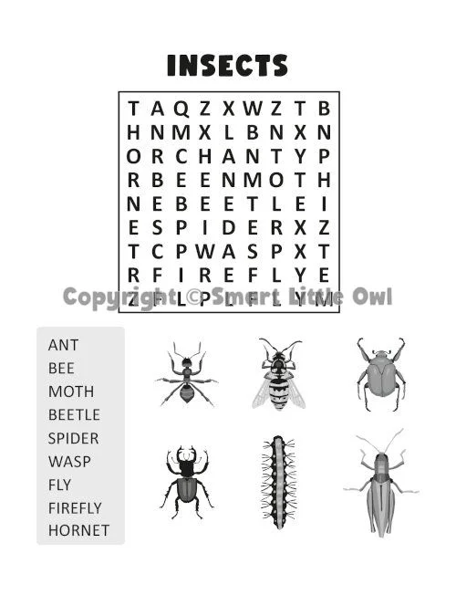 Word Search for Kids Ages 5-7 - Book Cover